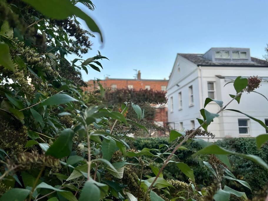 Vernon Place Town Centre, Vernon Cottage 3-Bed With Parking, 1A Vernon Court 2-Bed With Parking, 1B Studio No Parking, Off The High Street Next To Sandford Park Cheltenham Exterior photo